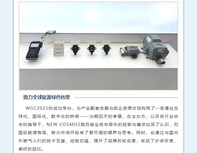 賦能可持續(xù)未來！熱烈慶賀新宇宙集團WGC2025參會圓滿成功！(圖8)